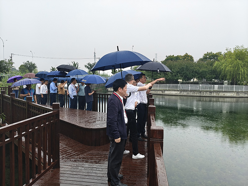 图片25.jpg